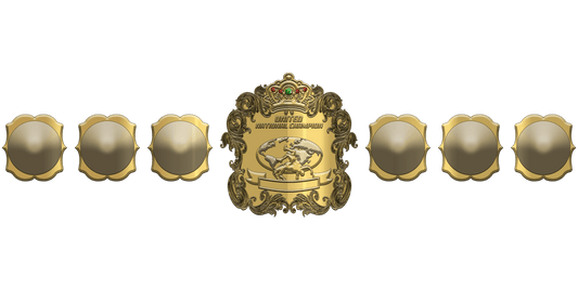 ZBCB-19 Custom Design Championship Belt