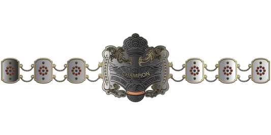 ZBCB-20 Custom Design Championship Belt