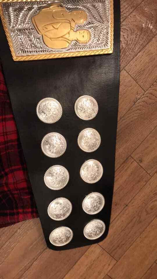 NORTH AMERICAN Zinc Championship Belt